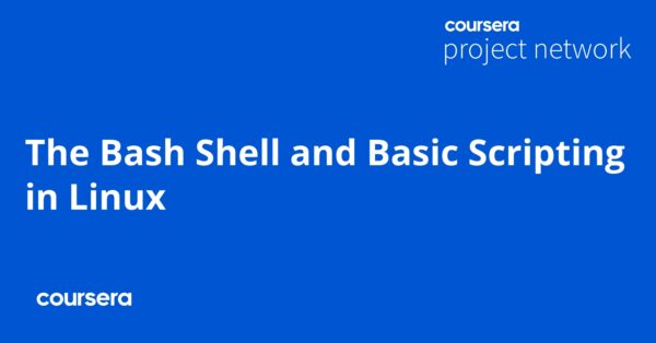 The Bash Shell and Basic Scripting in Linux - Coursya